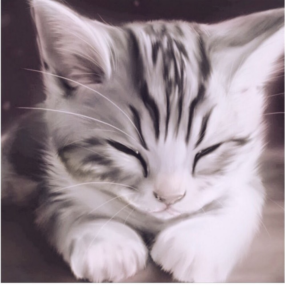 Meet your Posher, Skyler